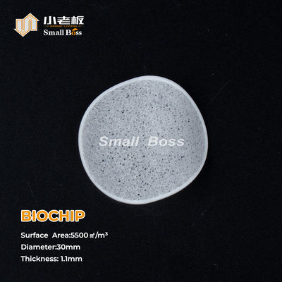 acheter White Color Mbbr Filter Media with Virgin HDPE Material Ras Biochip online manufacture
