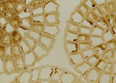 Technologie de l'aération de livraison à grande vitesse MBBR Biochips porteurs Traitement des eaux municipales