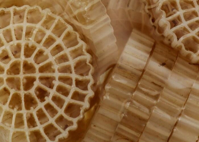 Matériau vierge HDPE MBBR Biofiltreur en plastique avec une bonne surface