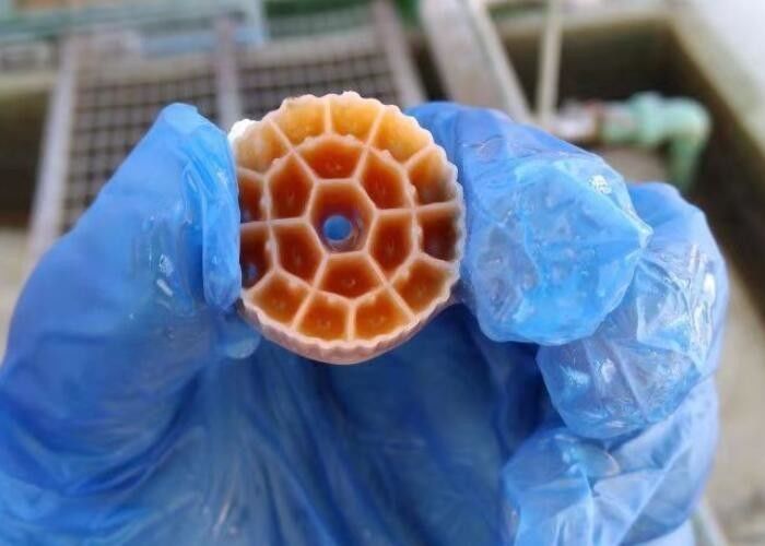Traitement des eaux usées Biologique Bio Balls Filtre médias Mbbr Poids personnalisé